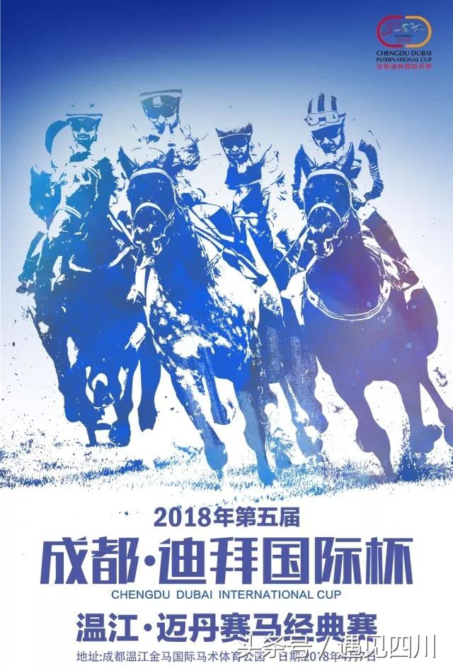 冠军归来｜中华骑师再战“成都迪拜国际杯温江迈丹赛马经典赛”