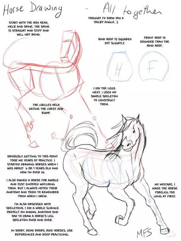 画一个简单又好看的马,教你一分钟画马