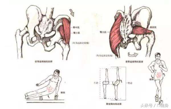 kiki健身徒手背部训练,kiki健身一套动作练全身