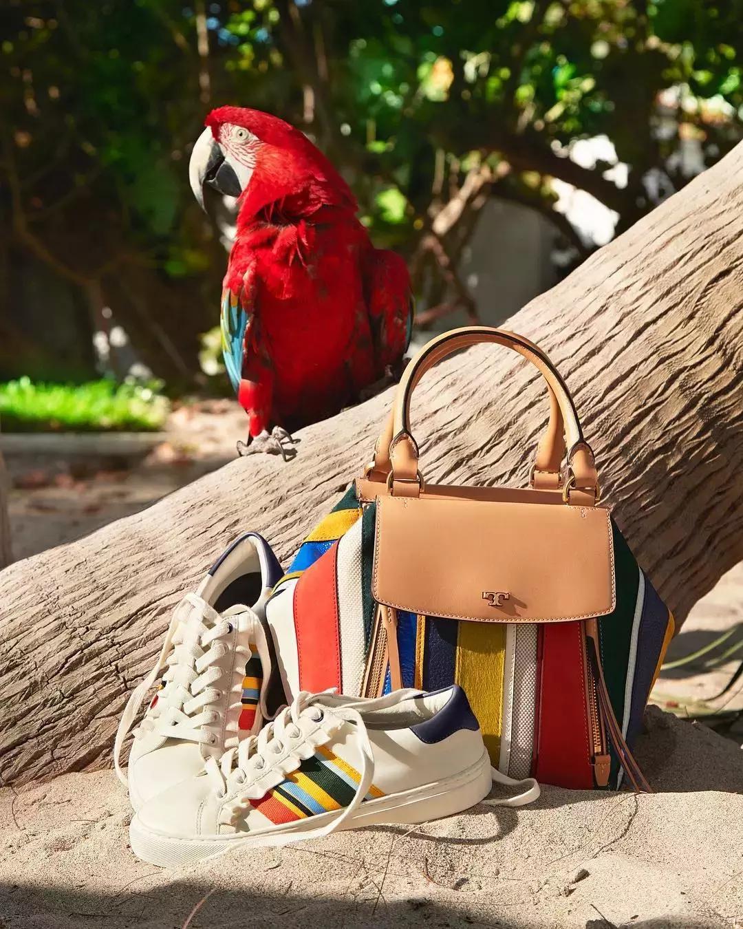 春夏小白鞋新款2022爆款百搭,百搭厚底小白鞋春夏