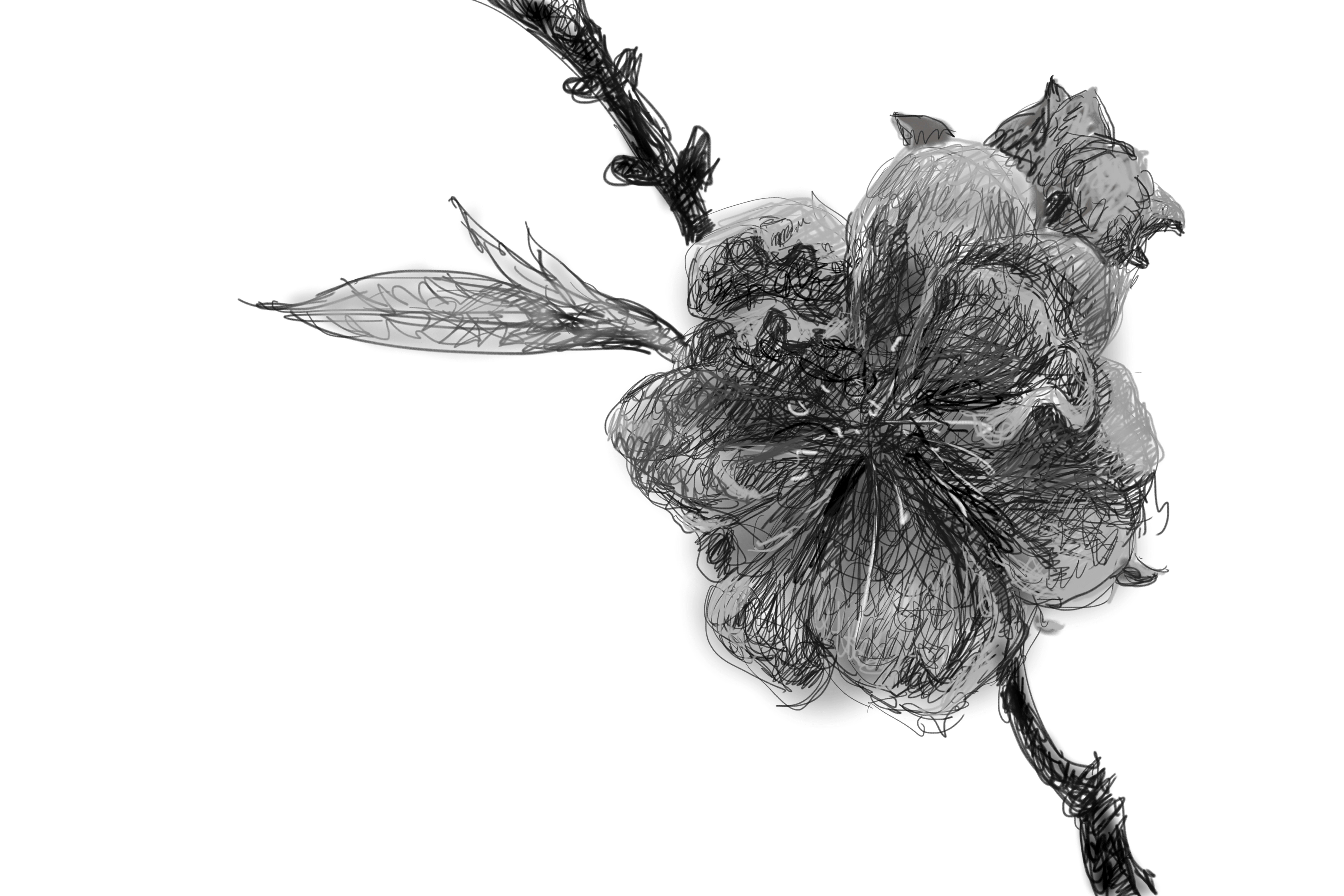 艺术家杨国辛作品,杨国辛油画作品欣赏