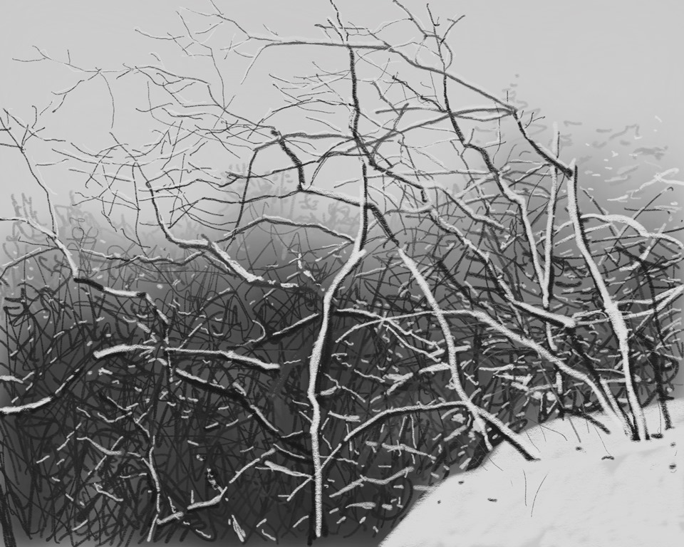 艺术家杨国辛作品,杨国辛油画作品欣赏