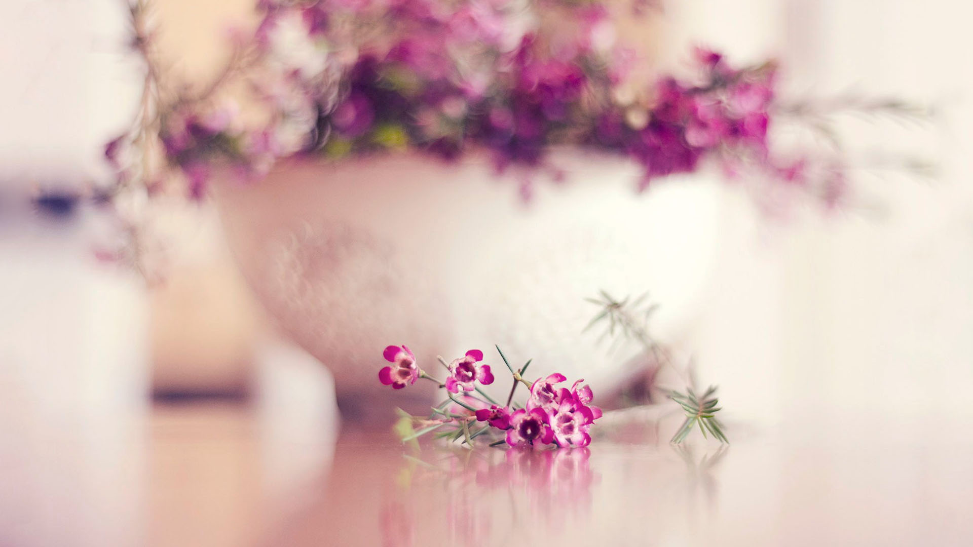 英语干货的句子,英语谚语100个常用励志