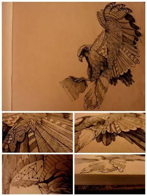 鹰怎么画又霸气又真实,要怎么画真实的老鹰