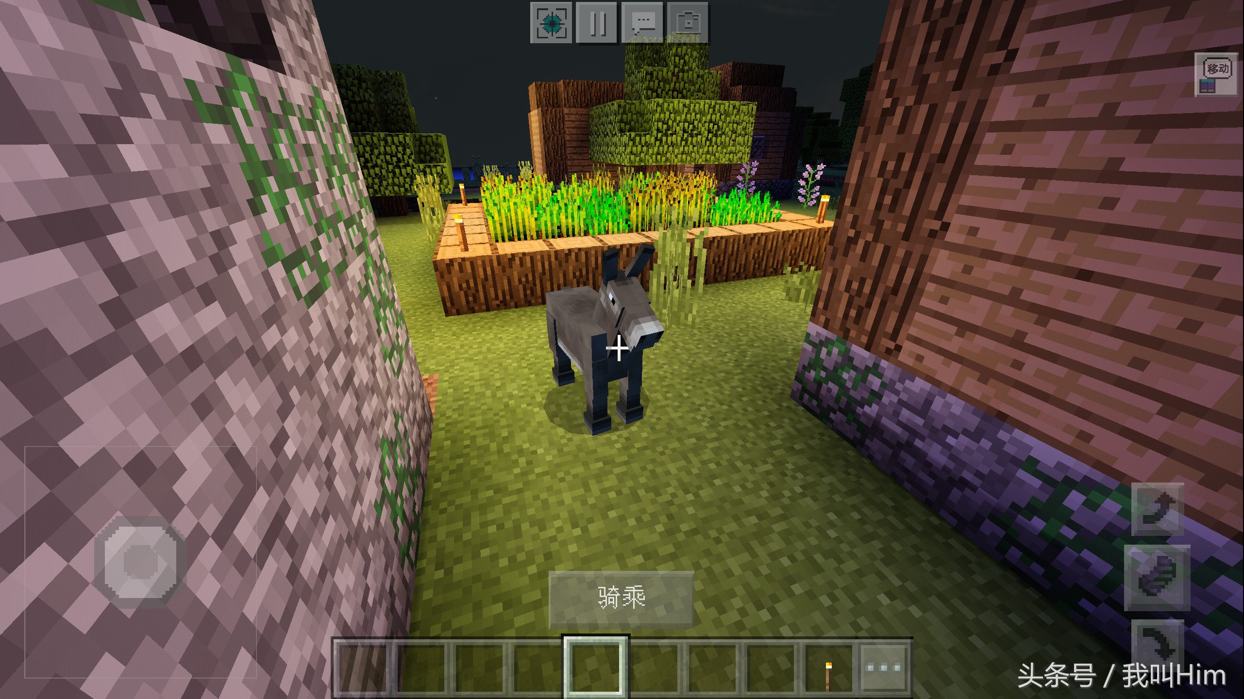 我的世界动画him屠村,我的世界僵尸围城大揭秘