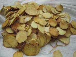 又到实习季，受“口臭”困扰的职场小白，可试试这个！