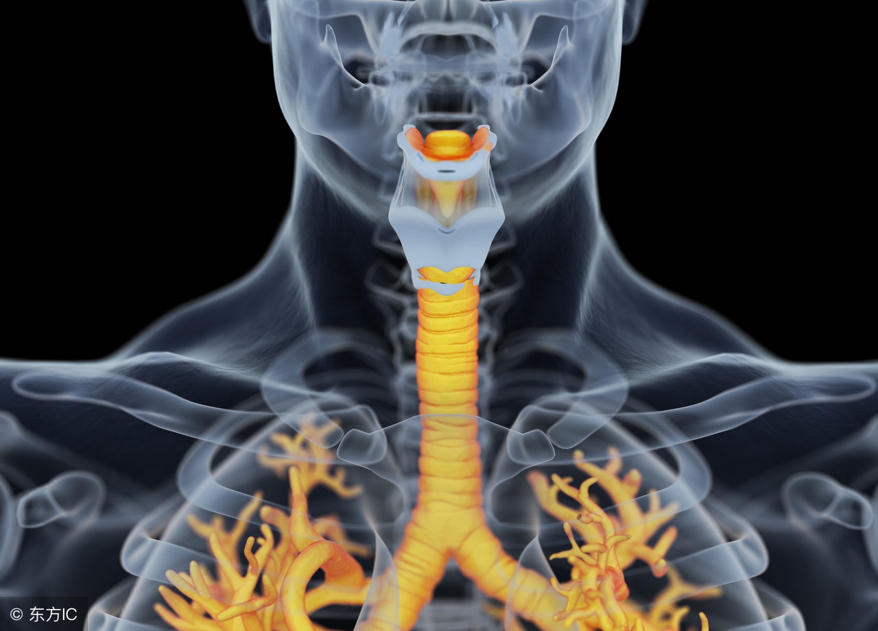 肺部训练对支气管炎有没有帮助,支气管炎病人该怎样进行呼吸锻炼