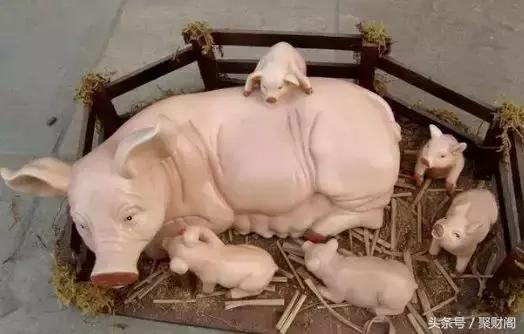 生肖猪的富贵命是几月,不同年龄的生肖猪性格和命运如何