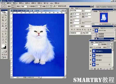 抠图抠不干净ps用哪个工具,ps抠图和ai抠图区别
