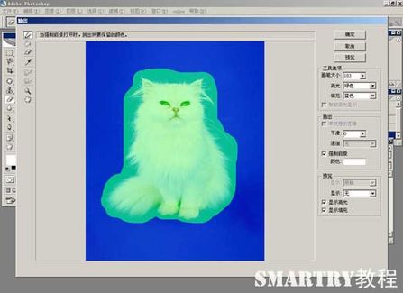 抠图抠不干净ps用哪个工具,ps抠图和ai抠图区别