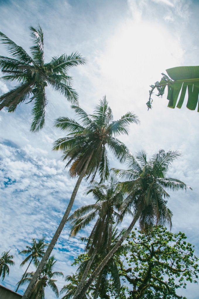 帕劳陆地环岛游,帕劳深度游玩攻略