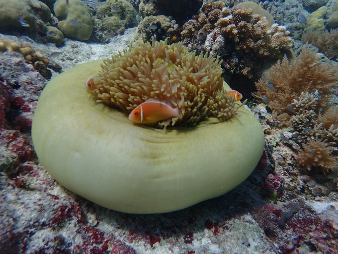 帕劳陆地环岛游,帕劳深度游玩攻略