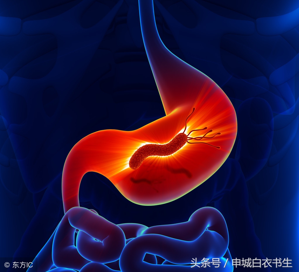 检查发现幽门螺旋杆菌阳性怎么办,幽门螺杆菌阳性hp+是什么意思
