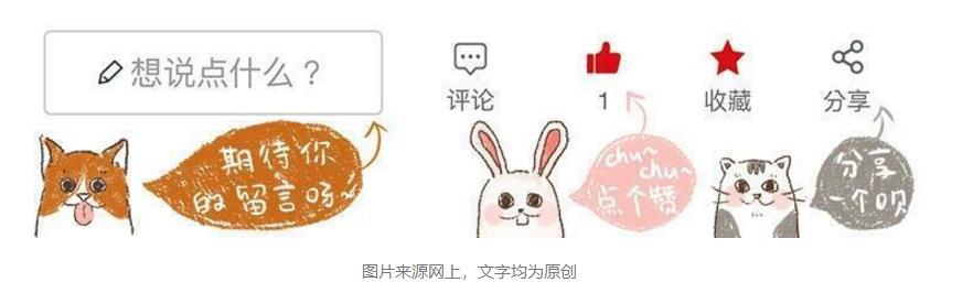 哈士奇被带到警局,哈士奇被猫教训回家后被主人教育