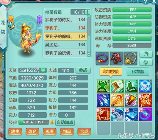 神武3,神武3的99级天宫