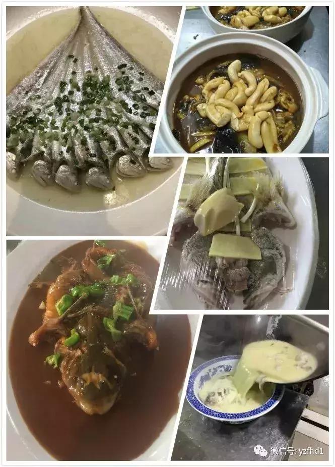 扬州中国风湿地公园,六月的扬州湿地公园