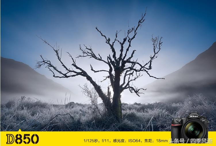 刚入手摄影从哪里学习,初学者数码单反推荐