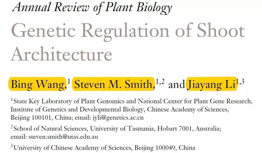 李家洋院士团队发表植物地上株型调控综述文章