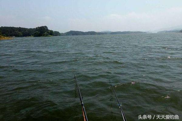 钓鲫鱼有风浪怎么调漂,有风浪的大湖面怎么调漂
