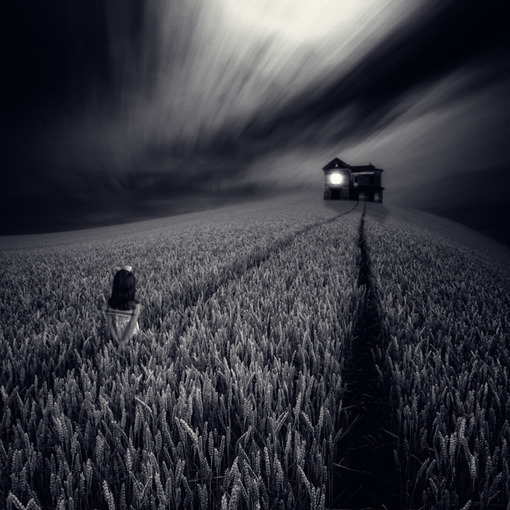 一花一世界一叶一菩提本来无一物,一花一世界一叶一菩提