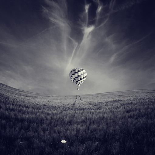 一花一世界一叶一菩提本来无一物,一花一世界一叶一菩提