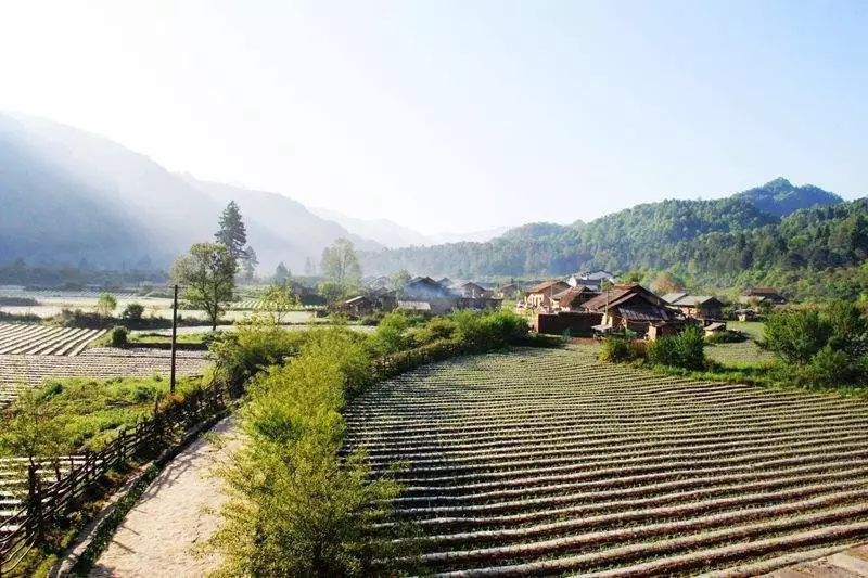 西安清明自驾,西安清明自驾免费景点