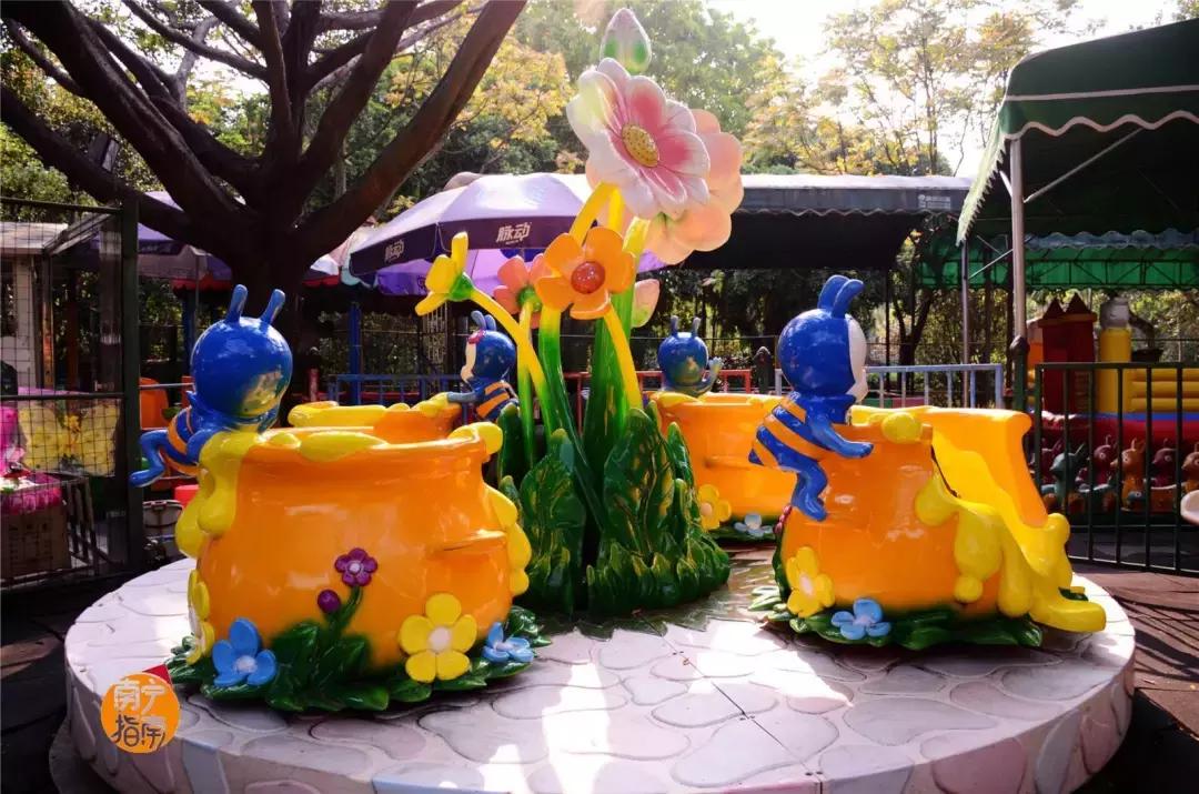 金花茶公园景点,走进金花茶公园