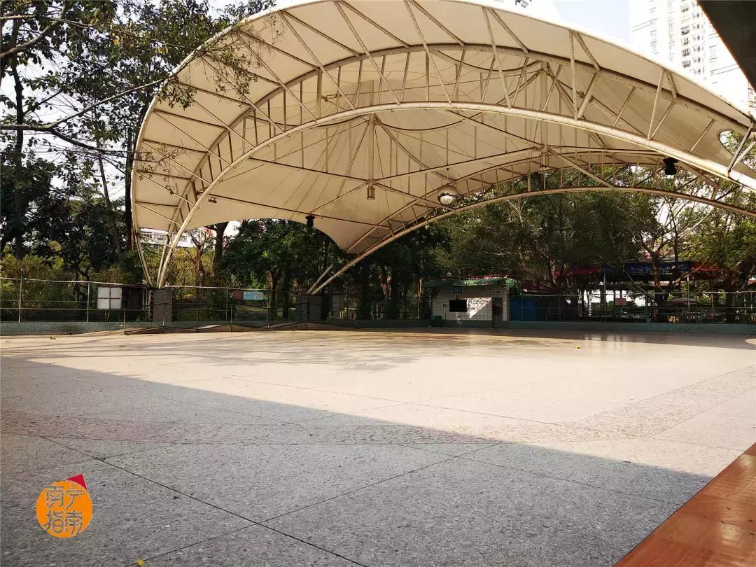 金花茶公园景点,走进金花茶公园