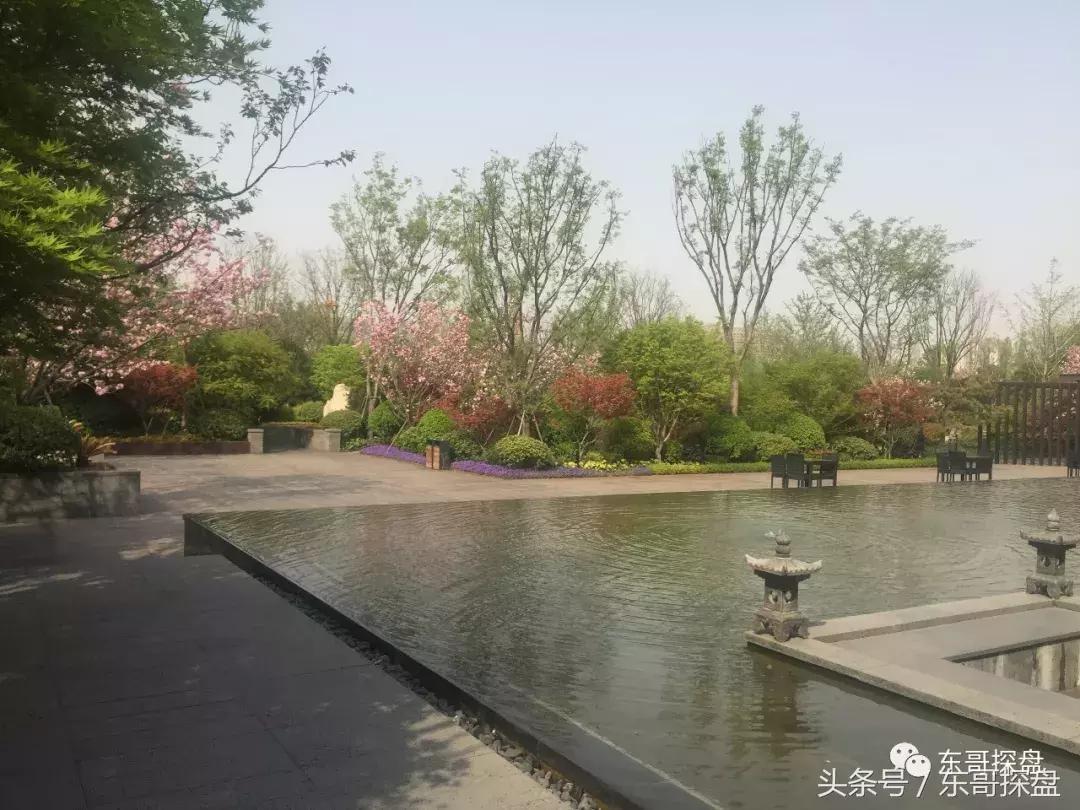 又一神盘诞生，花儿为什么这样红？