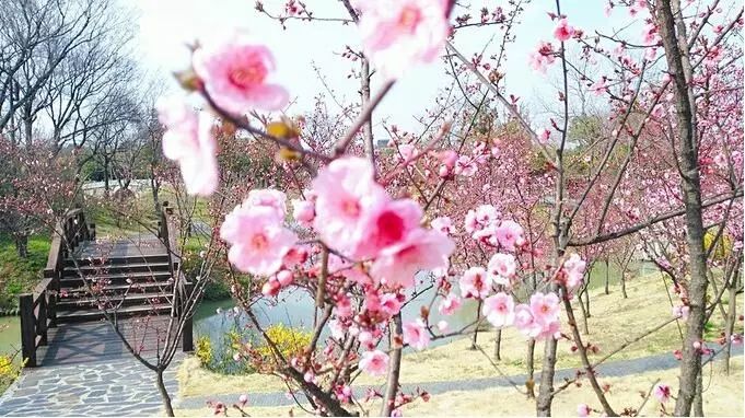 清明请假2天休息5天,清明小长假两天一夜出游攻略