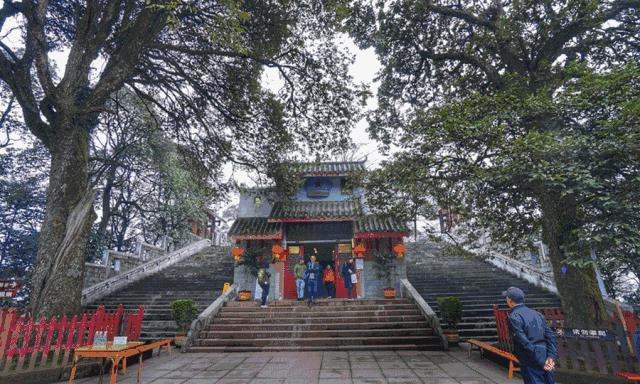 清明踏春一日游必去景点,踏春赏花景点最美推荐