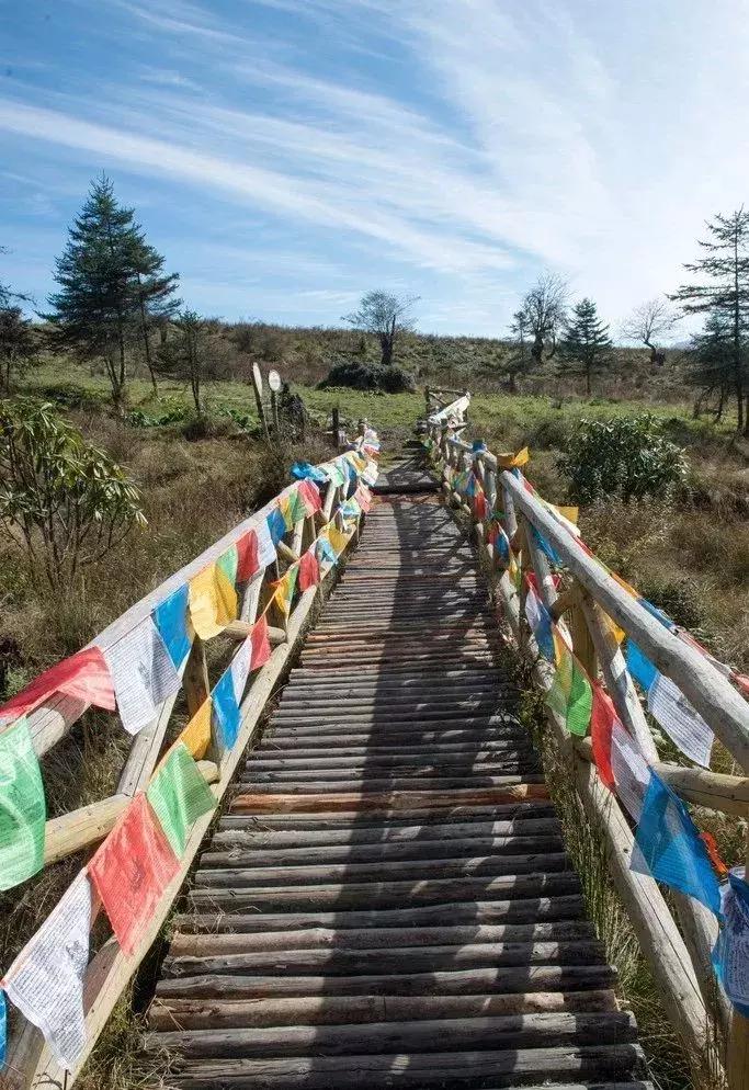 清明踏春一日游必去景点,踏春赏花景点最美推荐