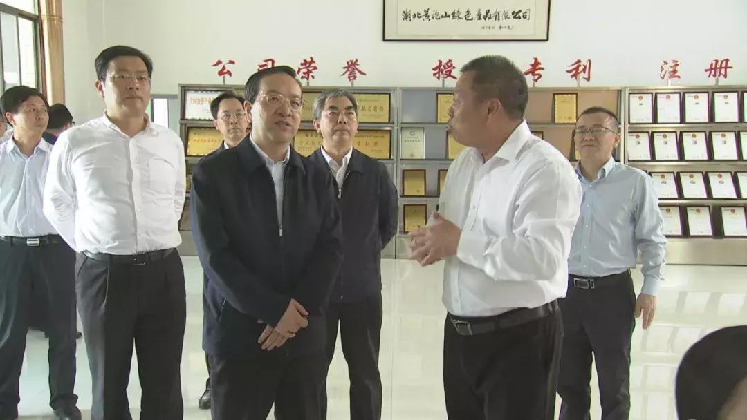 蒋超良在崇阳县、通城县调研，强调了这几件事情！