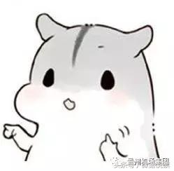 贵阳机场巴士1号线,贵阳机场巴士购票