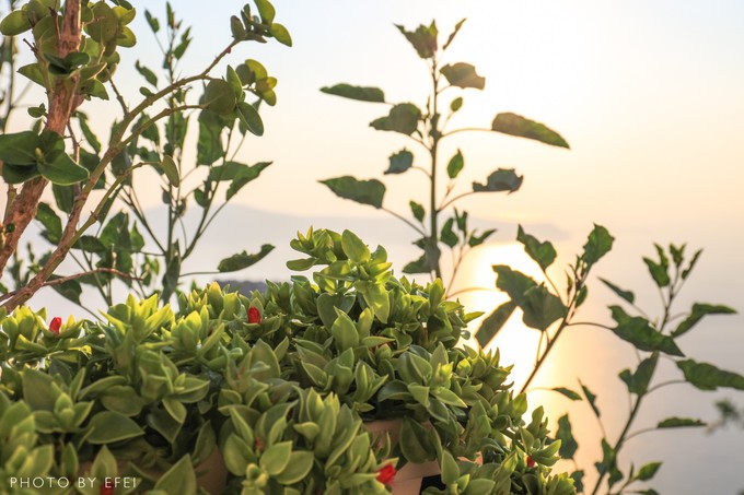 希腊旅游攻略花费多少,希腊旅游攻略购物指南