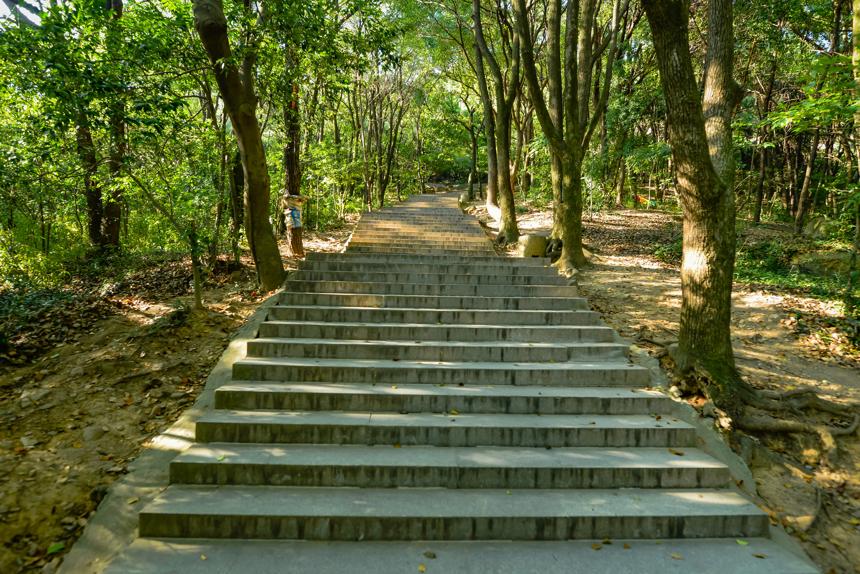 苏州木渎零距离,苏州木渎古镇景点门票价格
