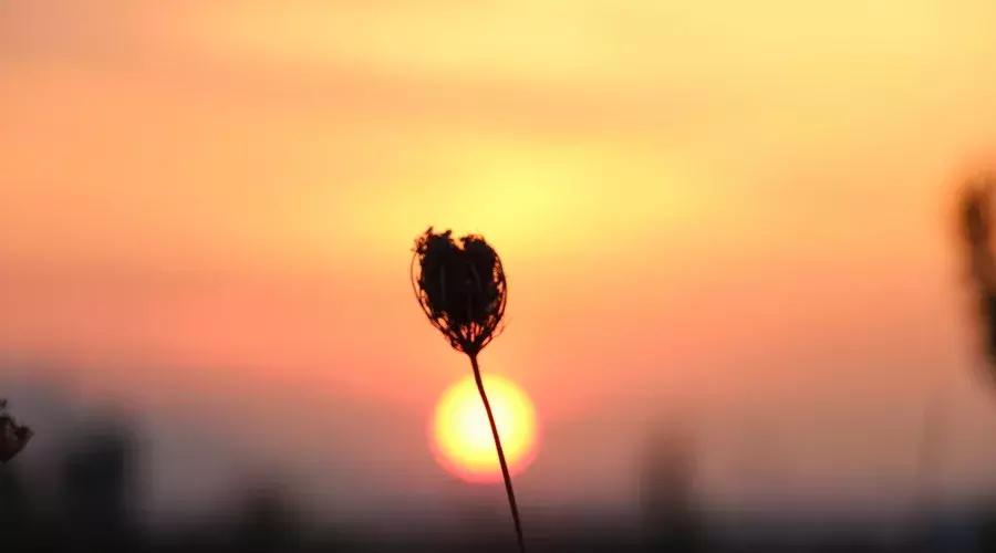 田蕴章每日一字思的行书写法,每日一字思