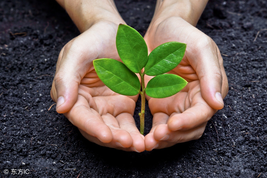 从“浪荡不羁”到“安分守己”——摩拜单车发展启示录