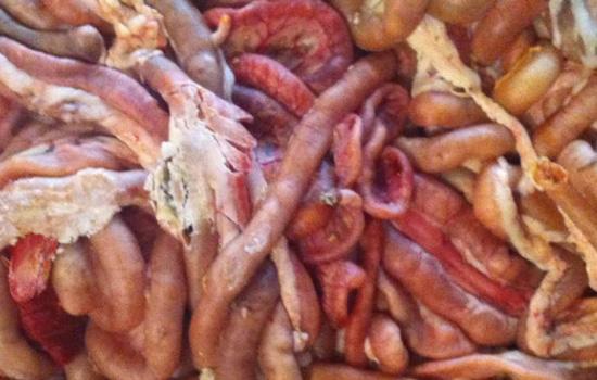 钓小龙虾什么天气好钓,钓小龙虾选什么天气好