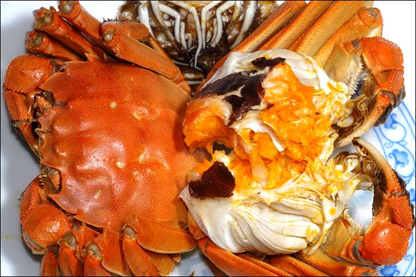 绑着的螃蟹怎么清洗干净,活螃蟹怎么清洗和蒸视频