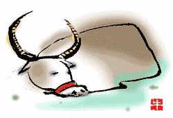 属相和婚姻有什么讲究,婚姻和属相对照表