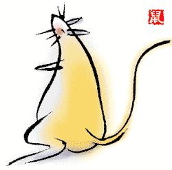 生辰八字与属相婚姻哪个准,属相和命理在婚姻中哪个更重要