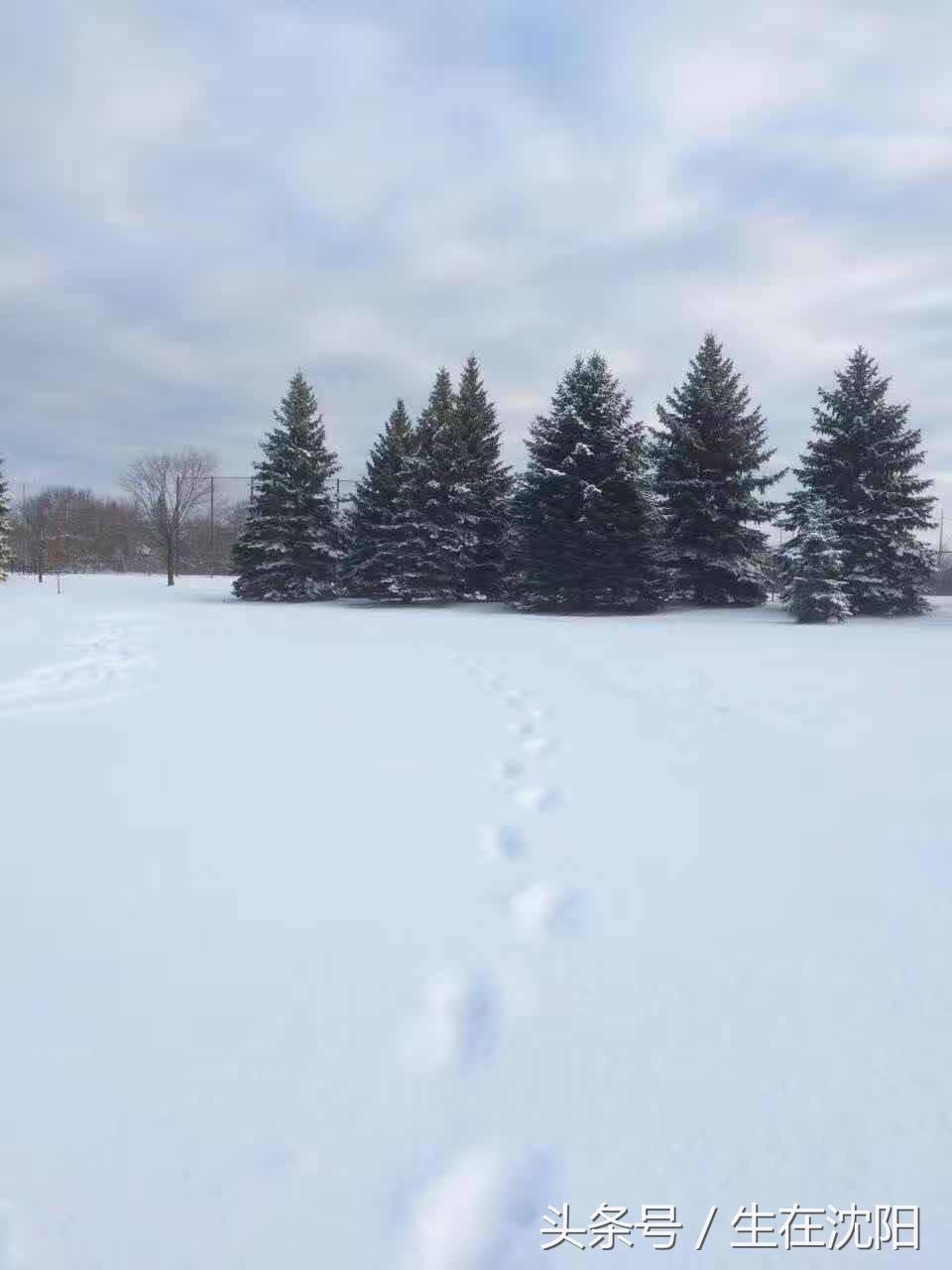 曾经的十大城市沈阳,沈阳是特大城市吗
