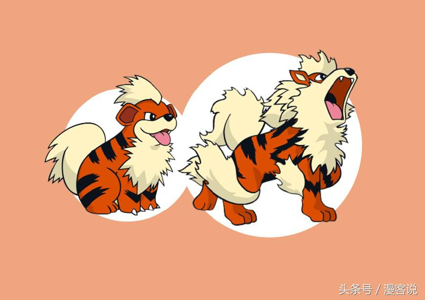 宝可梦盘点之犬类宝可梦,宝可梦中所有精灵盘点