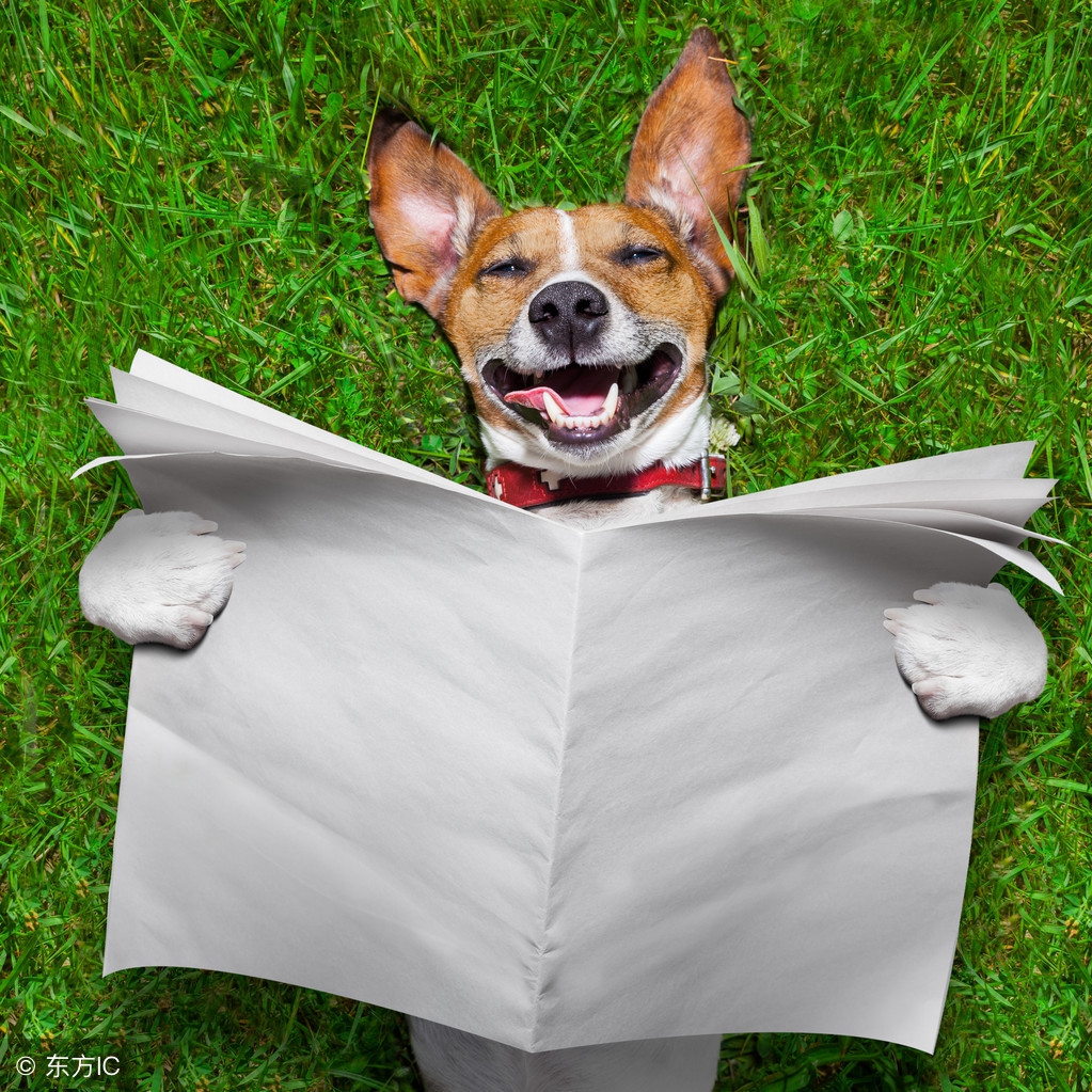 每日一句生活中的笑话,每日笑话开心每一天