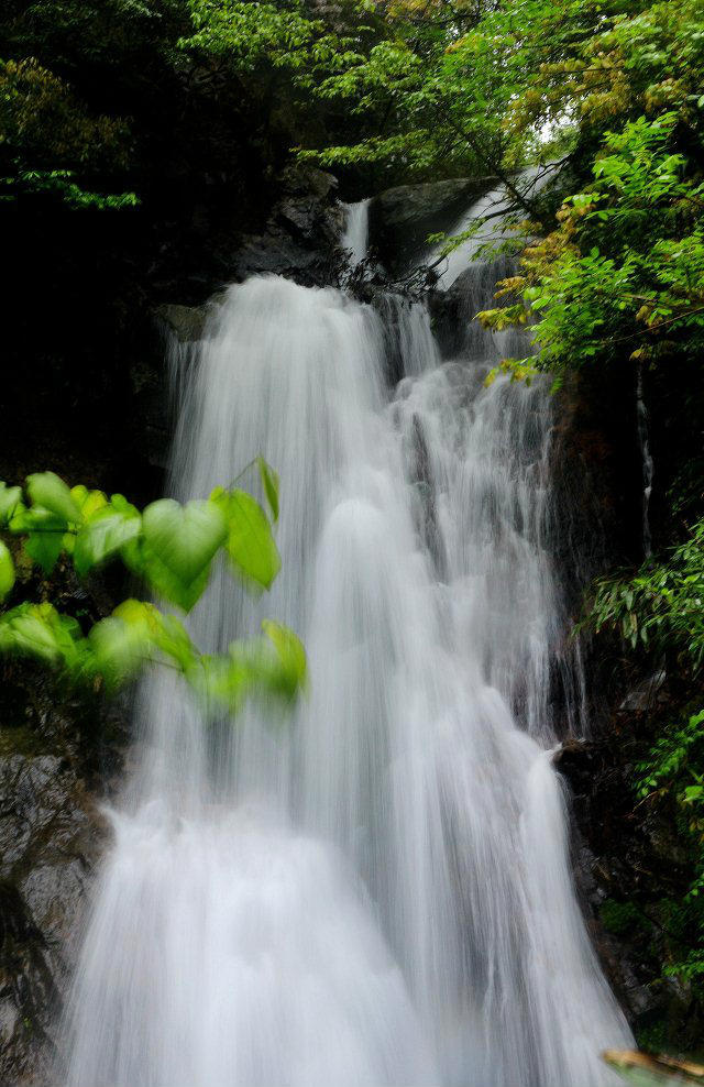 吴越古道浙西天池,安徽徽州古道