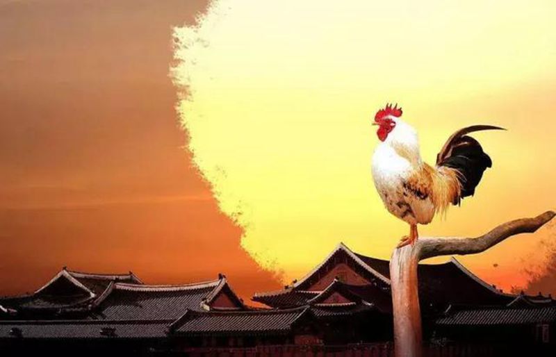 计量知识短视频,古代时钟是怎样计时的