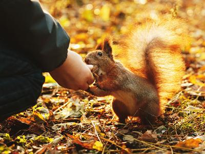 武汉外语外事职业学院周围环境,武汉外语外事职业学院等你来
