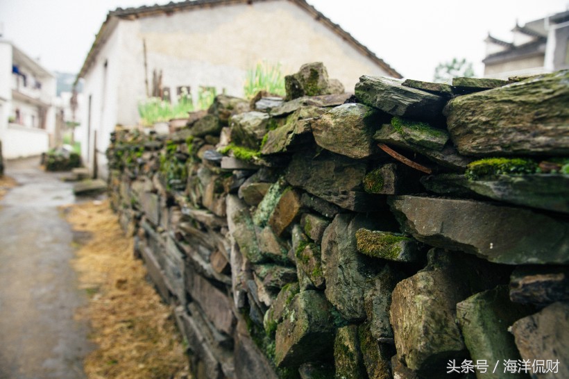 保险提问的问题100条,保险理赔咨询要问谁