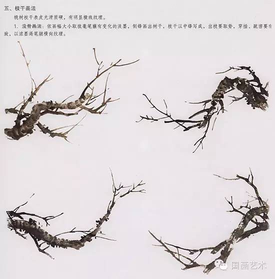 桃花的步骤画法，春天桃花盛开手把手教你画。